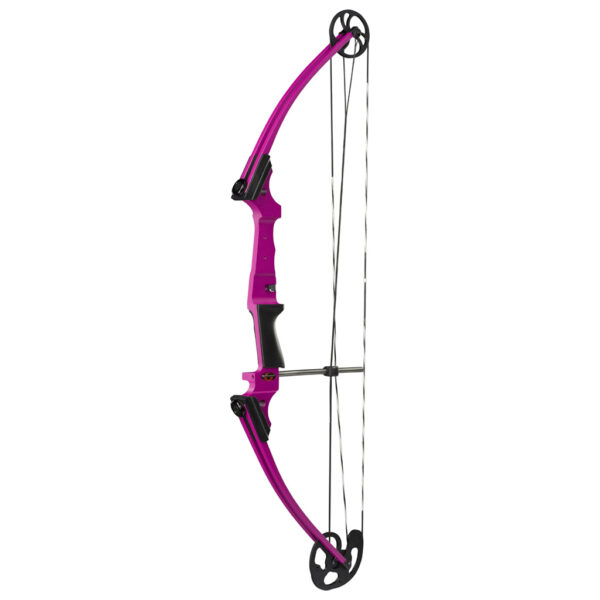 71004_1 Genesis Bow Purple RH