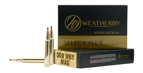 747115450176-1-1 Weatherby 300 WBY 170 gr Hammer Custom – 20 Rounds