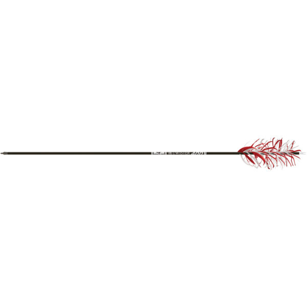 Gold Tip Twister FluFlu Arrows 500 1 pk.