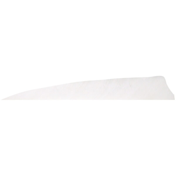 76611_1 Gateway Shield Cut Feathers White 4 in. RW 100 Pk.