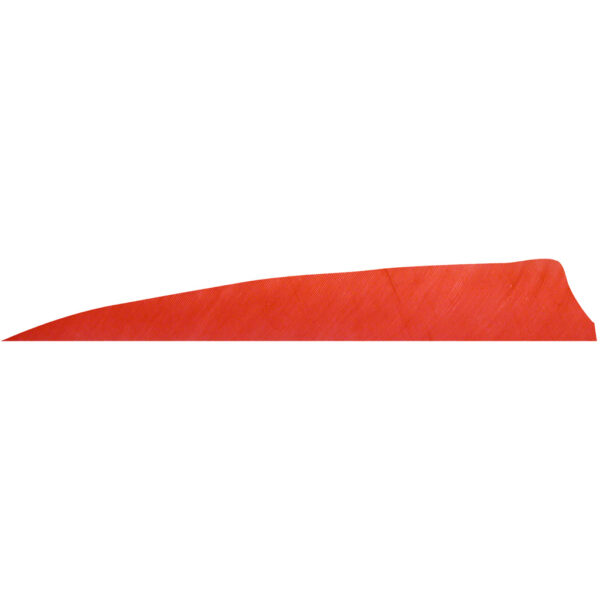 76613_1 Gateway Shield Cut Feathers Red 4 in. RW 100 Pk.