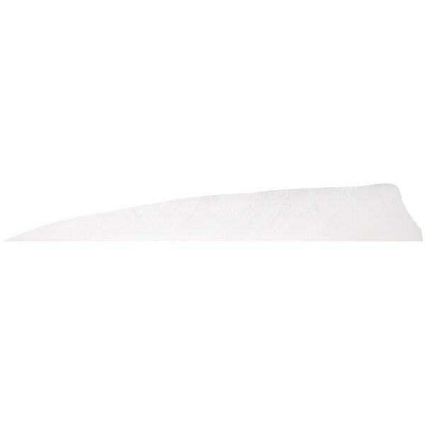 76622_1 Gateway Shield Cut Feathers White 5 in. RW 100 Pk.