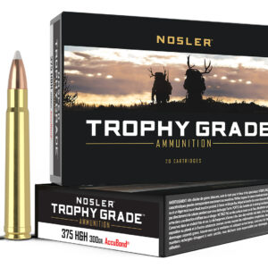 Nosler .375 H&H Magnum 300 gr AccuBond – 20 Rounds