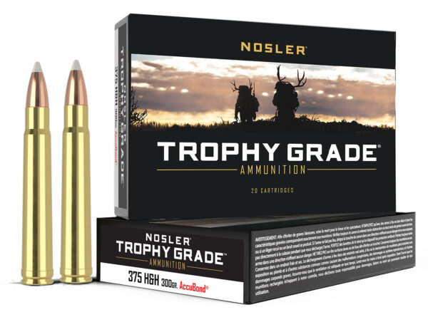 Nosler .375 H&H Magnum 300 gr AccuBond – 20 Rounds