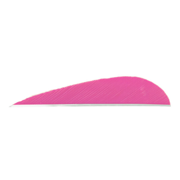 8427_1 Trueflight Parabolic Feathers Pink 3 in. RW 100 pk.