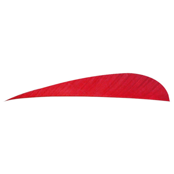 8452_1 Trueflight Parabolic Feathers Red 4 in. RW 100 pk.