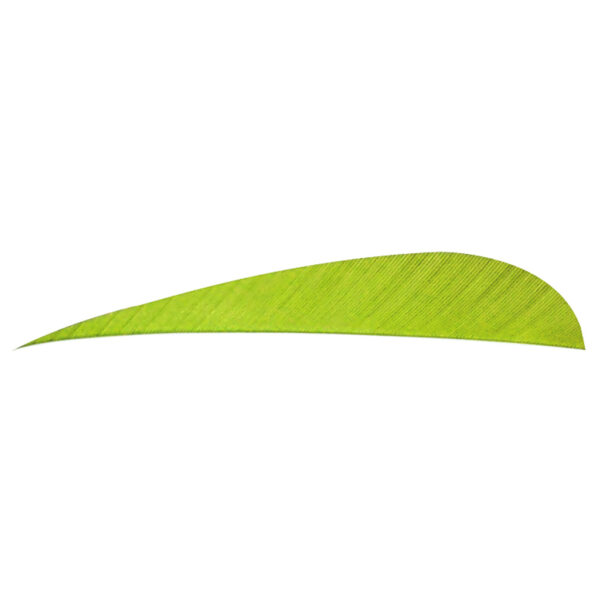 8462_1 Trueflight Parabolic Feathers Chartreuse 4 in. RW 100 pk.