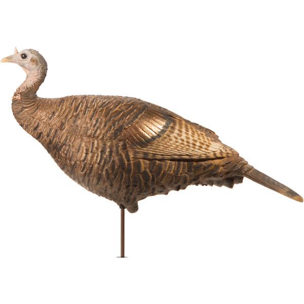 87101_1 Dave Smith Decoys Leading Hen Decoy