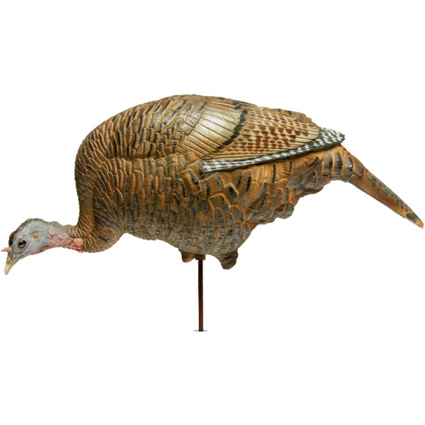 87103_1 Dave Smith Decoys Feeding Hen Decoy