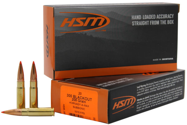 HSM 300BLK1N 300 AAC Blackout 208 gr — 20rd Box