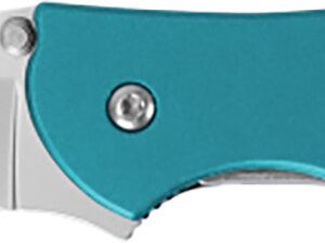 Kershaw Leek 3-inch Drop Point Folding Knife