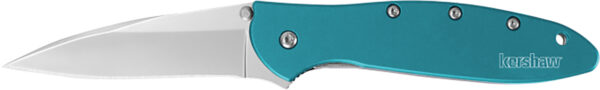 Kershaw Leek 3-inch Drop Point Folding Knife