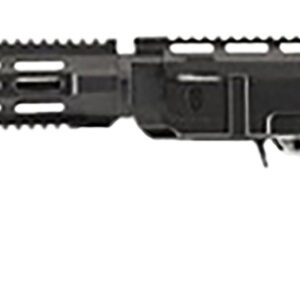 Archangel AA556RNB AR-15 Style Conversion Stock for Ruger 10/22