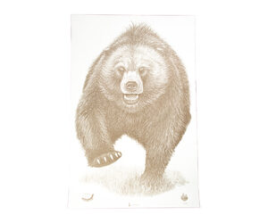 Action Target Alaska State Parks Bear — 100 Pack