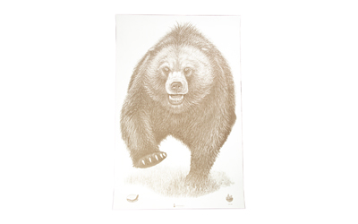 Action Target Alaska State Parks Bear — 100 Pack