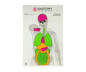 Action Target Anatomy Training Target 23 x 35, 100/Box