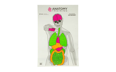 Action Target Anatomy Training Target 23 x 35, 100/Box