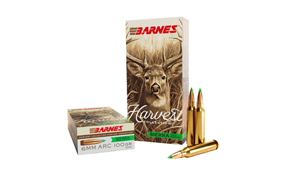 BB32475_1 BARNES HARV ST 6MM ARC 100GR 20/200