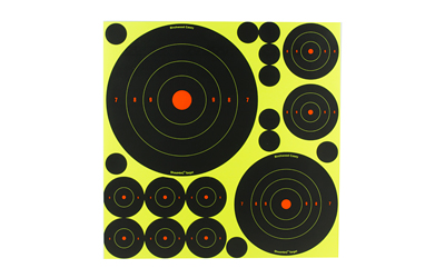 BC34018_1 Birchwood Casey Shoot-N-C Assorted Bullseye Targets 1″–8″
