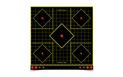 BC34175_1 Birchwood Casey Shoot-N-C Sight-In Target 5 Pack