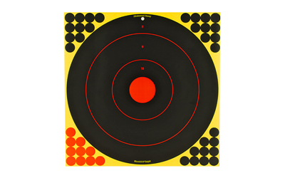 BC34185_1 Birchwood Casey Shoot-N-C 17.25″ Bullseye Targets – 5 Pack