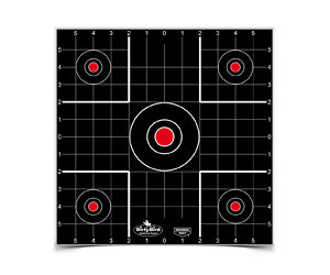Birchwood Casey Dirty Bird 12″ Sight-In Target 12 Pack