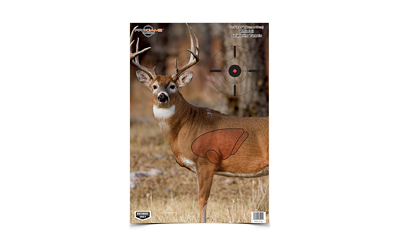 Birchwood Casey Pregame Deer Targets 16.5 x 24 3 Pack