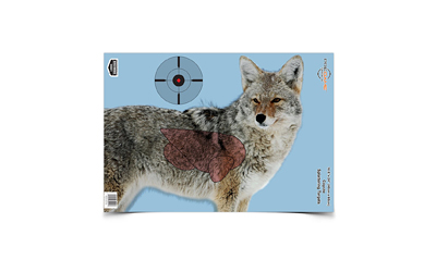 Birchwood Casey Pregame Coyote Targets 16.5×24 3-Pack
