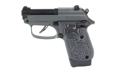 Beretta 20X Bobcat .22 LR 2.4 in, G10 Grips