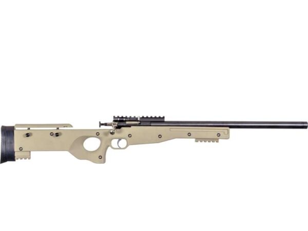 Davey Crickett Crickett Precision Rifle .22 LR, Blued/FDE