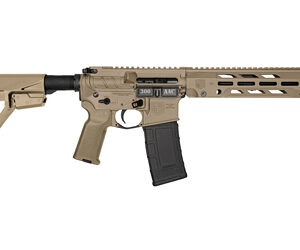 DBF DB15OBS 300BLK 10″ 30RD FDE BRC