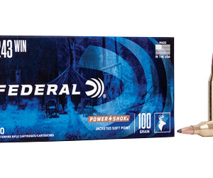 Federal Power-Shok .243 Win 100 gr SP — 20rd