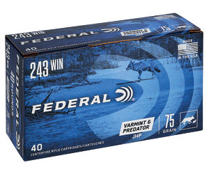 Federal American Eagle .243 Win 75gr JHP — 40rd Box