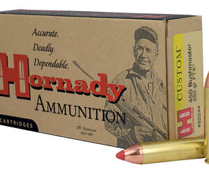 Hornady Custom .450 Bushmaster 250 gr FTX – 20rd Box