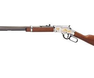 HENRY SPIRIT OF CORPS 22LR 20″ 16RD