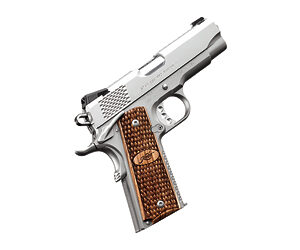 Kimber Pro Raptor II 9mm 4-inch 1911 Stainless