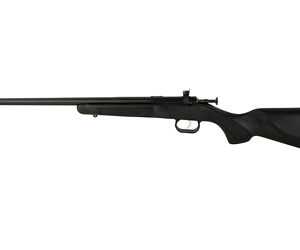 Keystone Crickett G2 .22 WMR — Blued, Black Synthetic