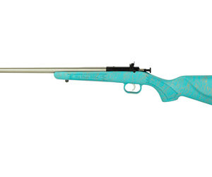 Davey Crickett Crickett Gen2 .22 LR 16.1in Stainless