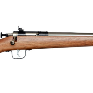 Davey Crickett Crickett 22 LR Youth Rifle Walnut/Stainless
