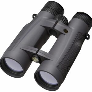Leupold BX-5 Santiam HD 15×56 Binocular, Shadow Gray