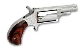 NAA Mini-Revolver Ported .22 Mag 1.63″ 5rd Stainless