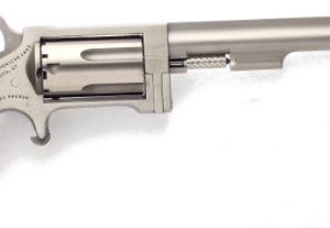 North American Arms Sidewinder SW4 .22 WMR 4-inch