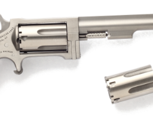 NAA Sidewinder 4″ .22 WMR/.22 LR Revolver Stainless