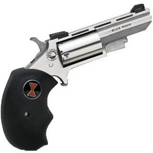 NAA Black Widow Combo 22LR/22WMR 2-inch 5-Shot Stainless