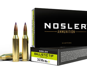 Nosler Ballistic Tip .243 Win 90gr 20rd
