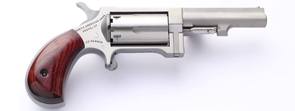 NAA Sidewinder 2.5″ Stainless .22 WMR/.22 LR 5rd