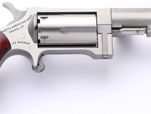 NAA Sidewinder 22 WMR 2.5″ Stainless 5rd Revolver
