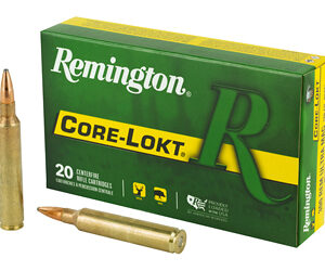 Remington Core-Lokt PSP .300 RUM 20rd