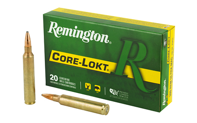Remington Core-Lokt PSP .300 RUM 20rd