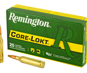 Remington Core-Lokt .243 Win 100 gr PSP — 20rd
